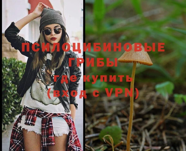винт Приозерск