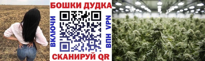 Каннабис конопля  наркошоп  Болохово 